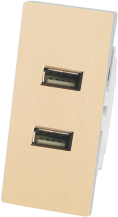 PS118-019 双USB插座